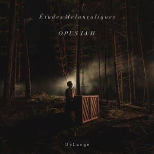 Etudes Melancoliques ~ Opus I & II