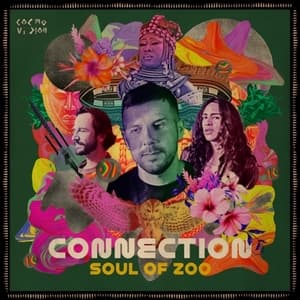 Connection