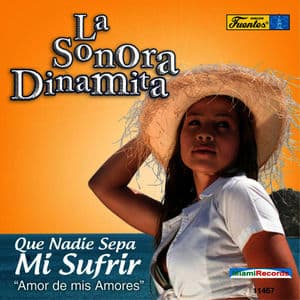 Que Nadie Sepa Mi Sufrir - Amor de Mis Amores