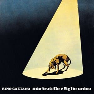 Mio Fratello E Figlio Unico