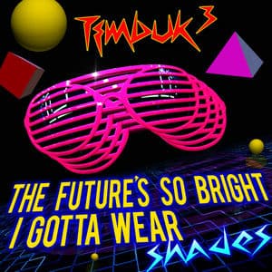 The Future's So Bright, I Gotta Wear Shades (Re-Recorded) - Single