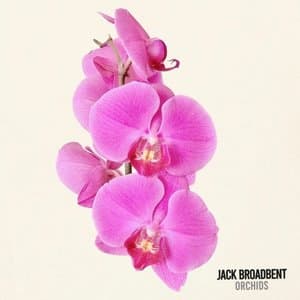 Orchids
