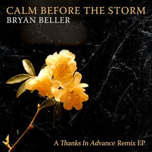 Calm Before the Storm: A Thanks in Advance EP