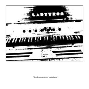 The Harmonium Sessions (Bonus Track Version)