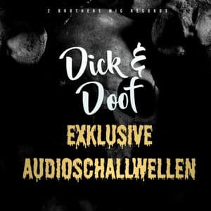 Exklusive Audioschallwellen