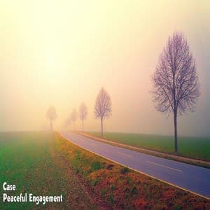 Peaceful Engagement
