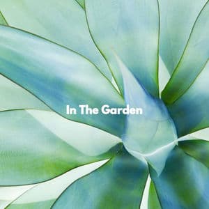 In The Garden