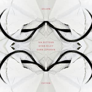 Eviyan - Nayive