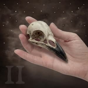 Cabinet of Curiosities, Vol. 1-2