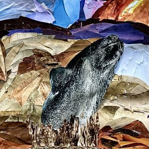 Il Sogno Della Balena