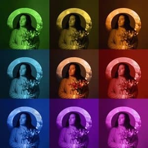 Timelines (Timelines Acoustic)