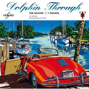 DOLPHIN THROUGH