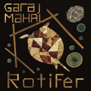 Rotifer