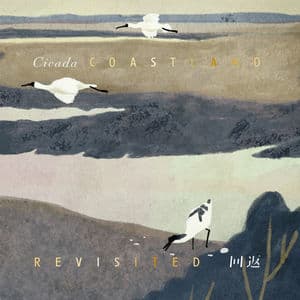 Coastland Revisited (A Remake of Select Pieces)