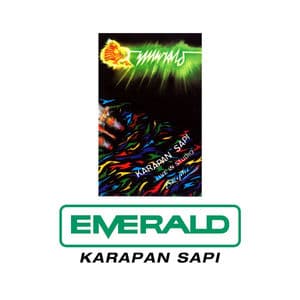 Karapan Sapi