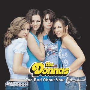 Too Bad About Your Girl (Online Music)