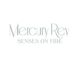 Senses On Fire