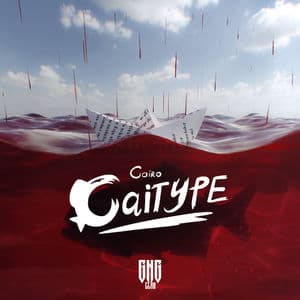 CAITYPE