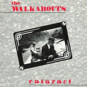 Cataract
