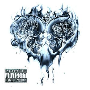 The Chaos Of Love & Pain