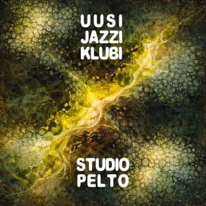 at Studio Pelto