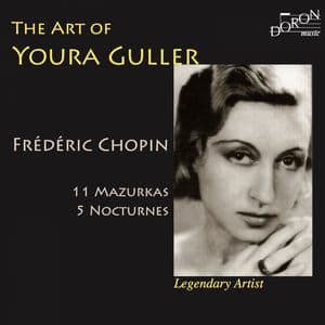 The Art of Youra Guller