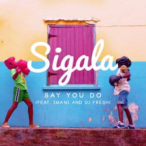 Say You Do (feat. DJ Fresh)