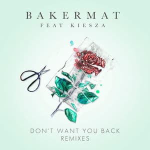Don't Want You Back (Remixes) (feat. Kiesza)