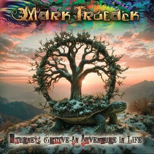 Journey's Groove - An Adventure in Life