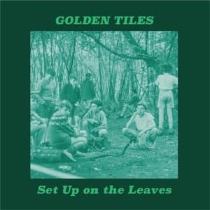 Set Up on the Leaves