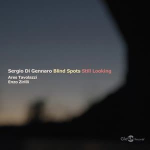 Blind Spots - Still Looking