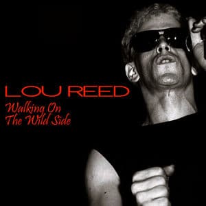Walking On The Wild Side