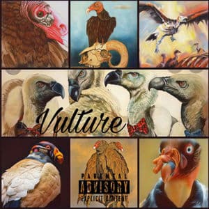 Vulture