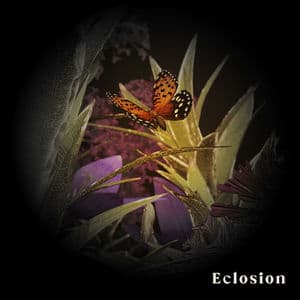 Eclosion