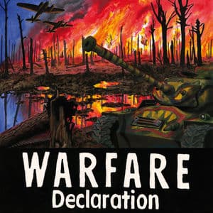 Declaration
