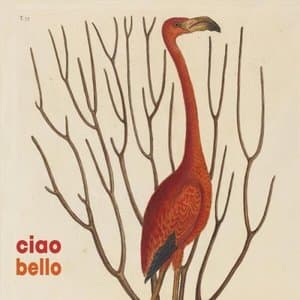 Ciao Bello