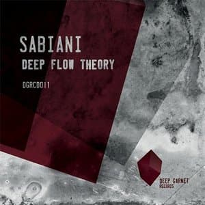 Deep Flow Theory