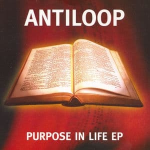 Purpose In Life