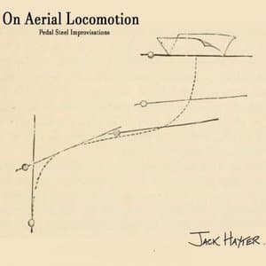 On Aerial Locomotion