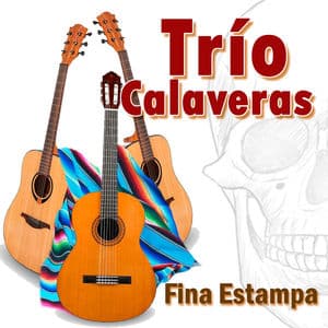 Fina Estampa