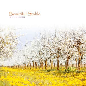Beautiful Stable