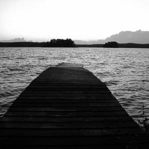 Bleak...