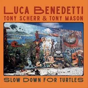 Slow Down For Turtles