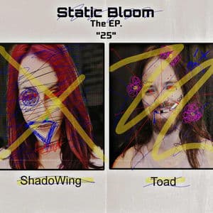 Static Bloom