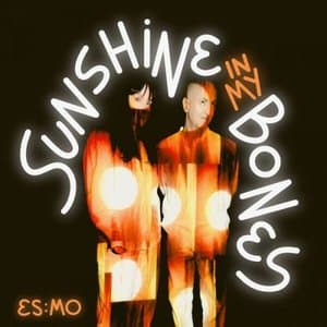Sunshine In My Bones