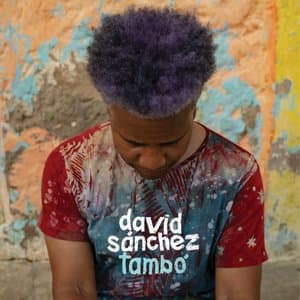 Tambo