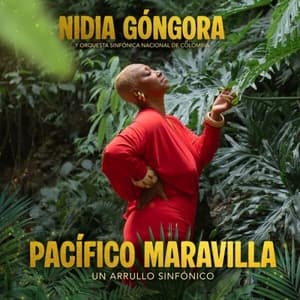 Pacifico Maravilla, Un Arrullo Sinfonico