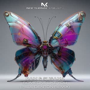 Someone Like You (Paul Denton Remix)