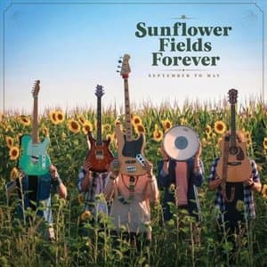 Sunflower Fields Forever