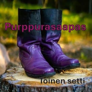 Toinen setti